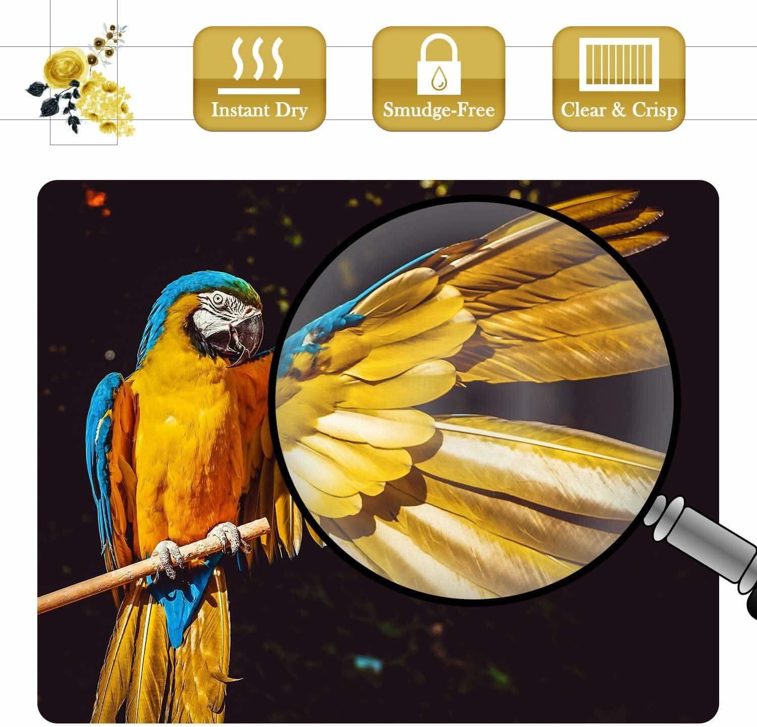 A-SUB 11"x17" Luster  Photo Paper 66lb 250gsm 50 sheets-Resin-Coated - Image 6